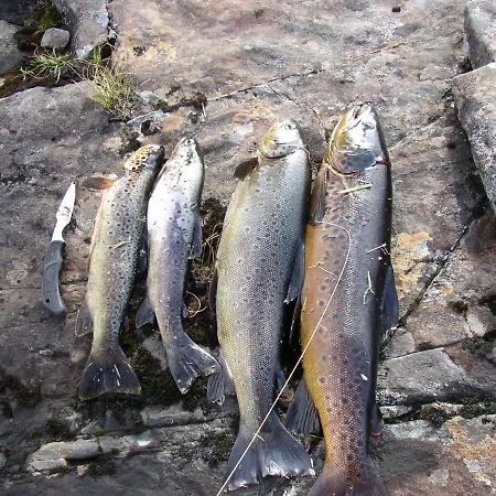 Bremanger Fjord *