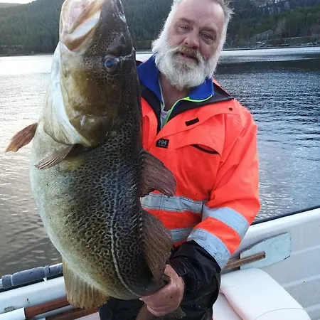 Bremanger Fjord ホテル *