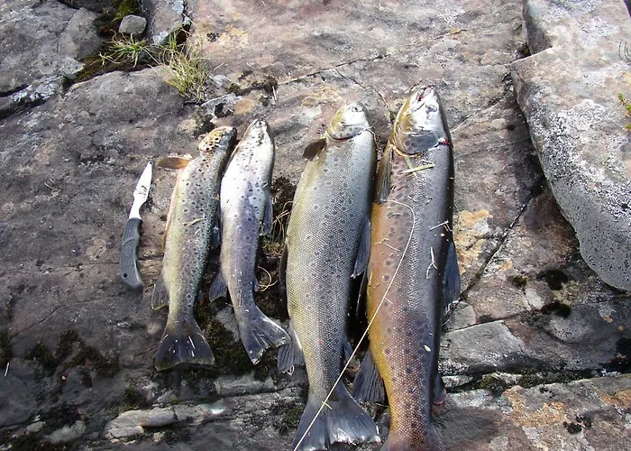 Bremanger Fjord *